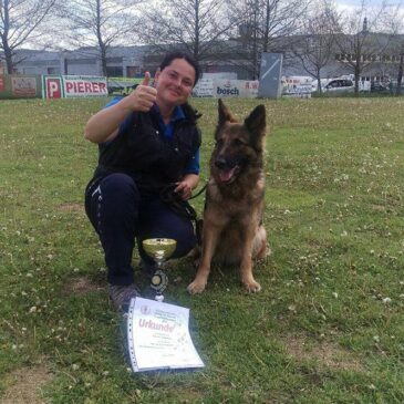 Tamara Seidnitzer mit Ihrer Ivy von der Siegerstrasse beim ersten Turnier am 06.05.2017 dieses Jahres SVÖ Apfelblütenturnier  Fladnitz/St.Ruprecht in der IPO 3 den ersten Platz mit 272 ein SG erziehlen.Ich bin immer stolz solche Hundeführer von der Siegerstrasse in meiner Mitte zu haben